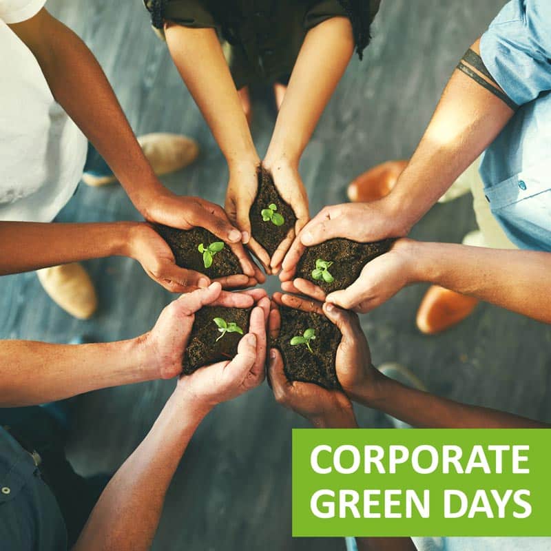 Corporate Green Days - Cleanups, Workshops Umweltschutz und Nachhaltigkeit für Berlin