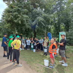 After-CSD-Cleanup