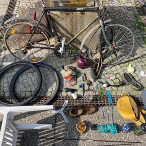 WORLD CLEANUP DAY im Treptower Park am 19.09.2025